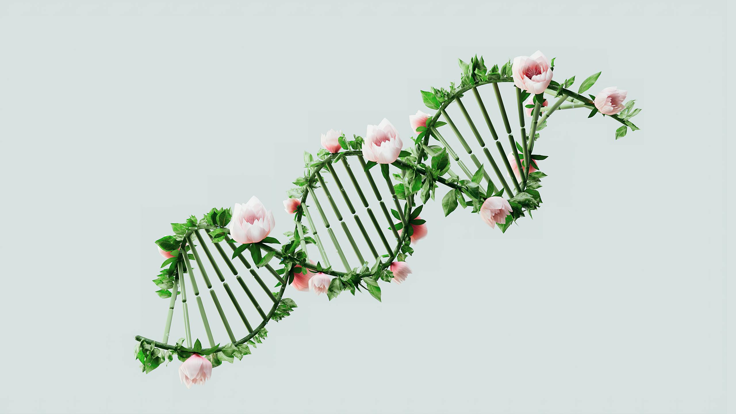 A creative representation of a DNA helix using flowers and leaves, symbolizing nature and biotechnology.